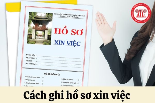 Hồ Sơ Xin Việc Cơ Bản Gồm Những Giấy Tờ Gì? - Hướng Dẫn Chi Tiết Từ A Đến Z