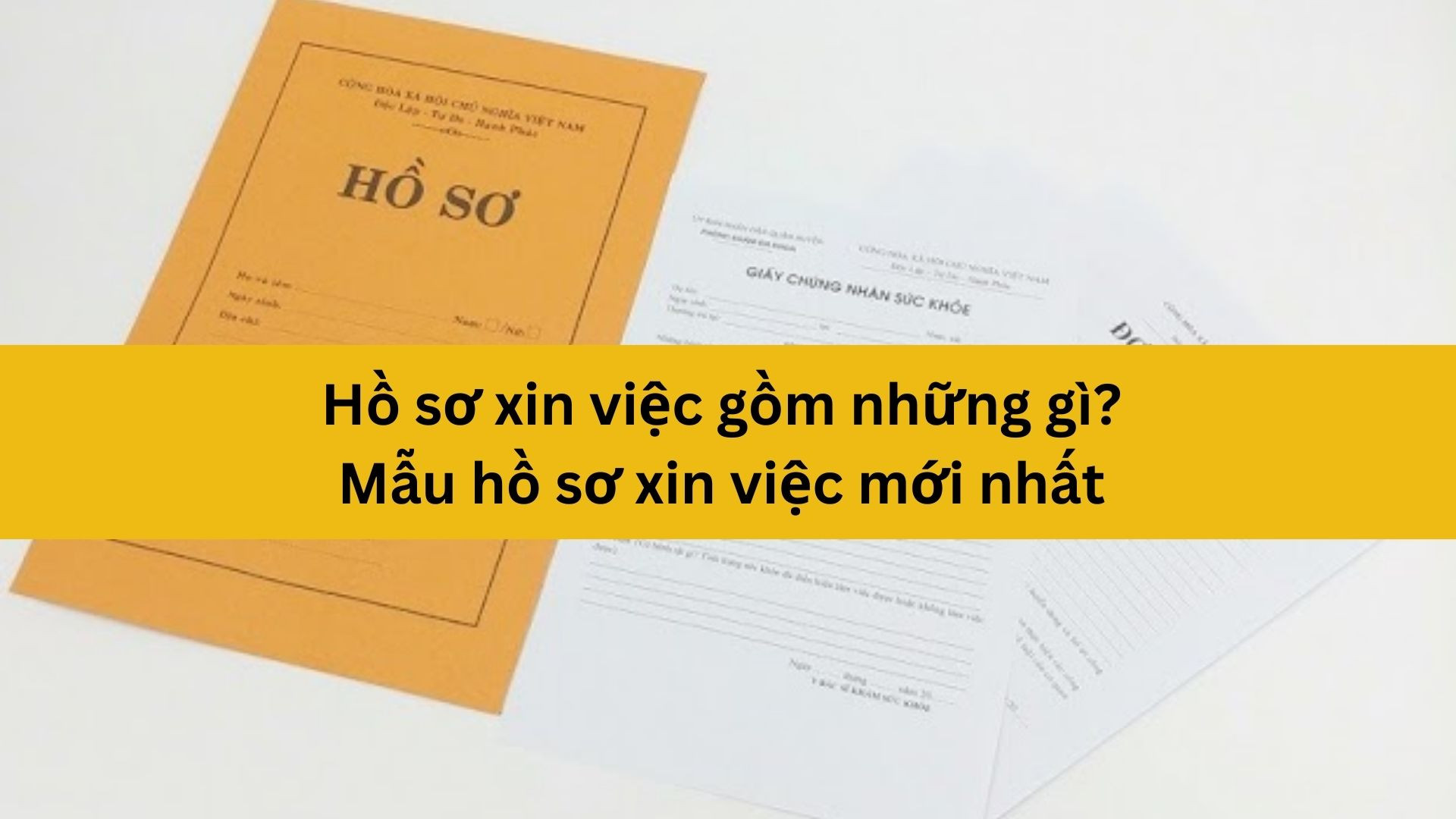 Hồ Sơ Xin Việc Cơ Bản Gồm Những Giấy Tờ Gì? - Hướng Dẫn Chi Tiết Từ A Đến Z