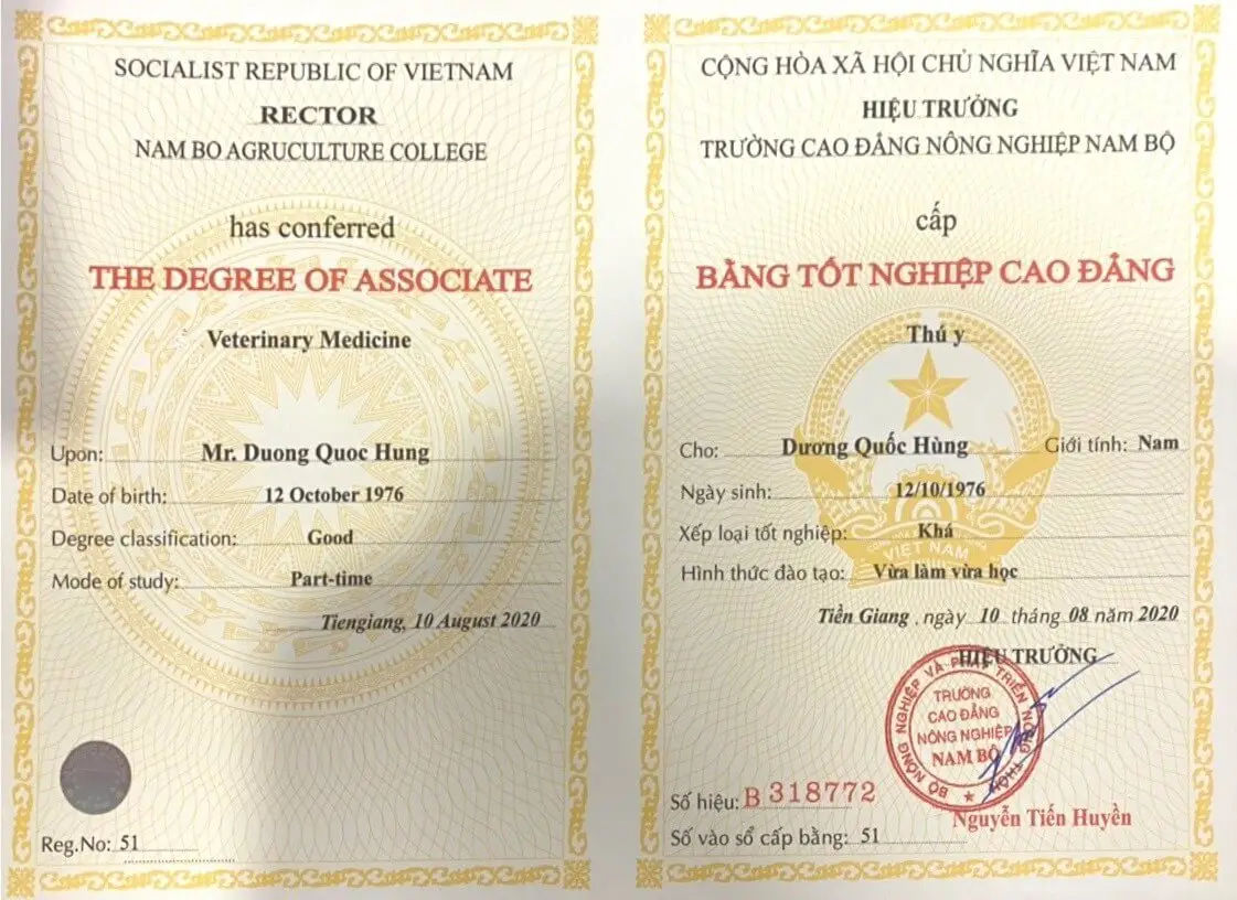 Làm bằng cao đẳng uy tín- Chọn đúng lối mở tương lai việc làm
