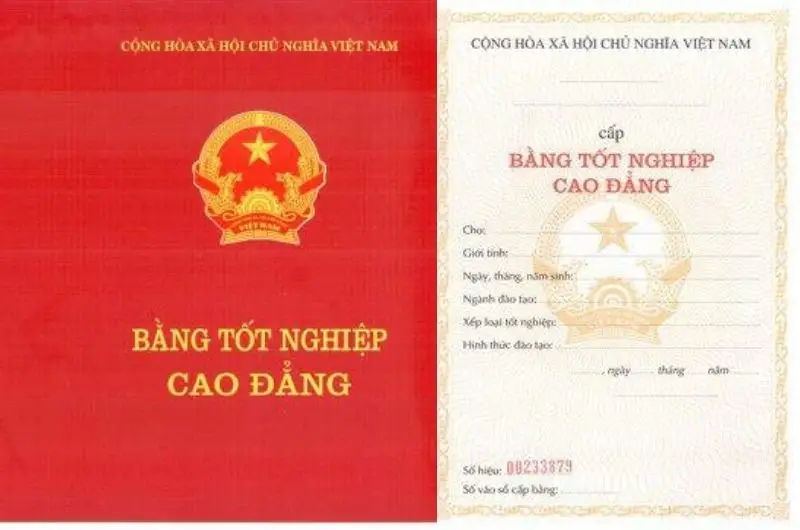 Làm bằng cao đẳng uy tín- Chọn đúng lối mở tương lai việc làm