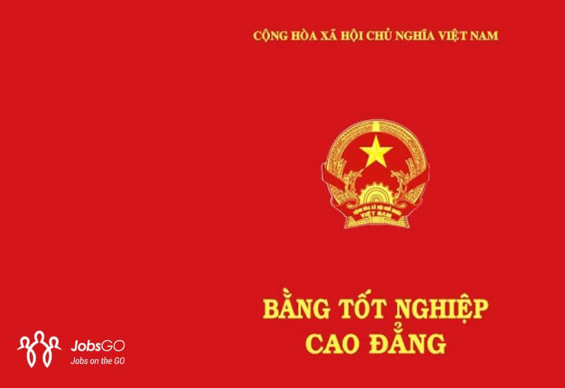 Phân Tích Chi Tiết 5 Dấu Hiệu Phôi Bằng Cao Đẳng Thật Từ Bộ GDĐT